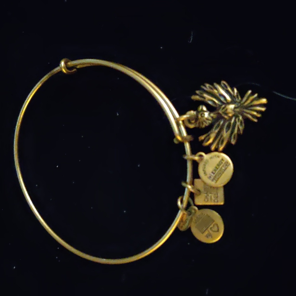 Alex and Ani Women's Gold Tone Bracelet - Phoenix